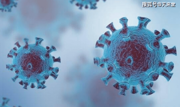 抚松县陈洪迁最新消息,一场自然美景的探索之旅,寻找内心的平和与宁静