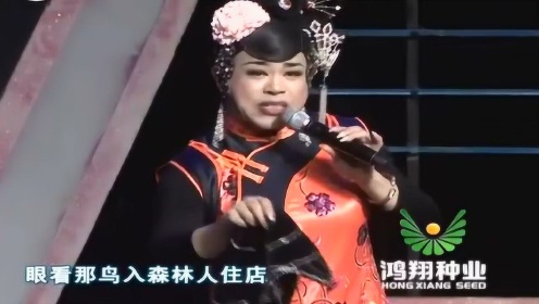 姜大美二人转,深藏小巷的传世之音