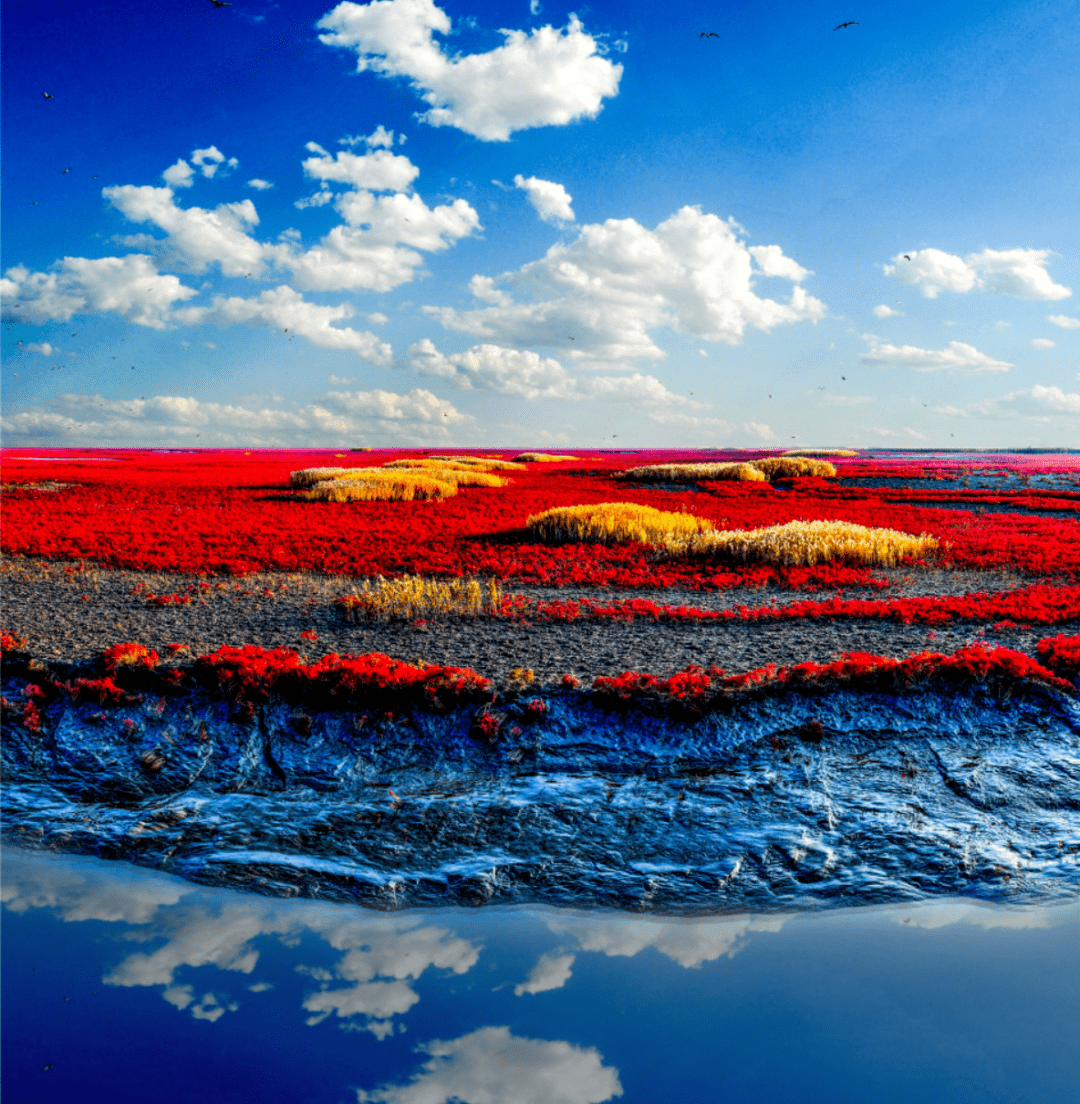 聚爆最新版本是多少?一起踏上自然美景的探索之旅吧!