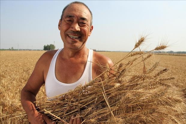 养老金上调最新消息📢 2023年养老金调整计划揭晓🚀