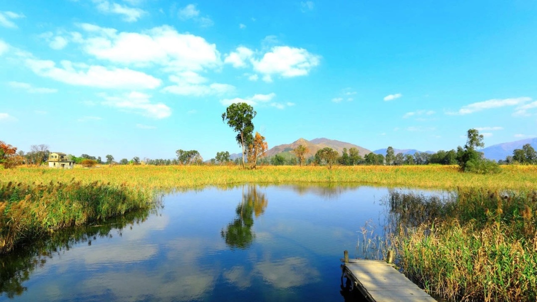 松花江避暑城最新进展