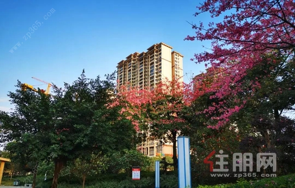 玉林市二手房最新信息,变化中的家园,自信与成就感的源泉