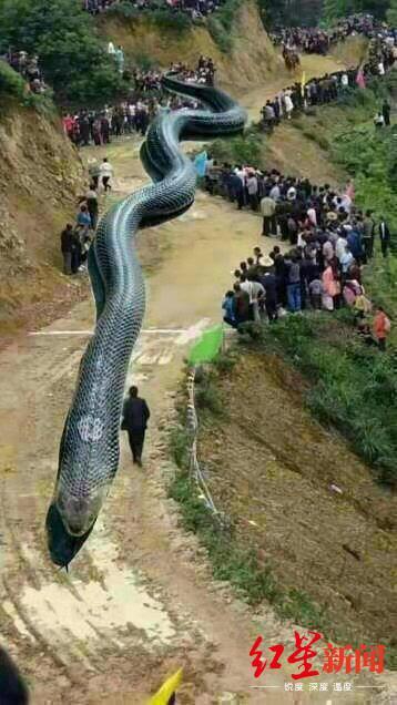 四川地震网最新消息今天,多方观点分析与个人立场