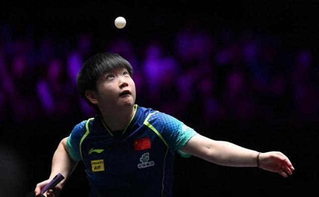 2024新澳门天天开好彩大全正版,高效执行方案_生态版84.262