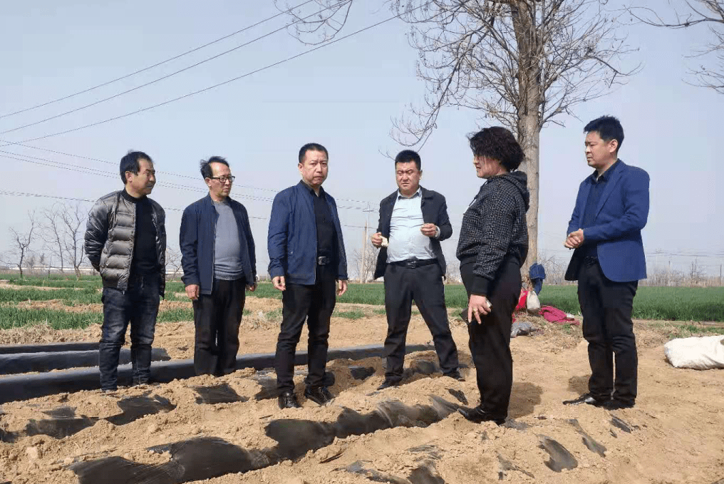 新安县张天鹏最新消息