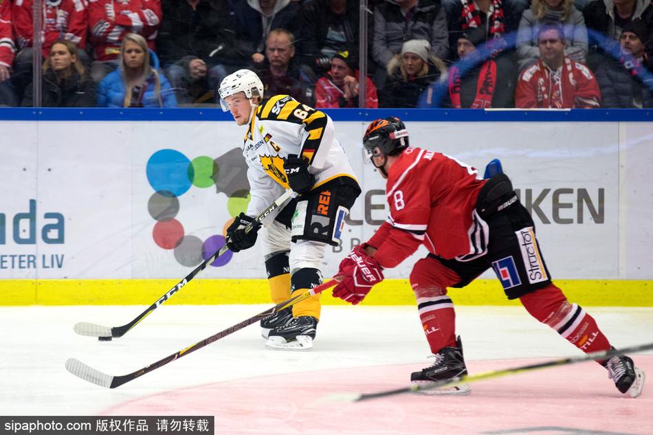 白小姐三期必开一肖,动态解读分析_精英版88.865