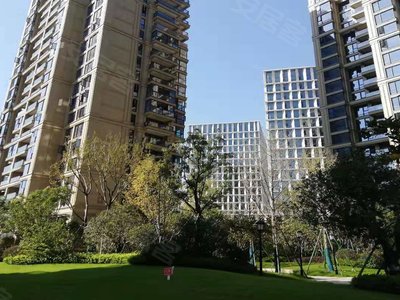 九龙仓珑玺最新消息,变化中的力量,自信与成就感的源泉