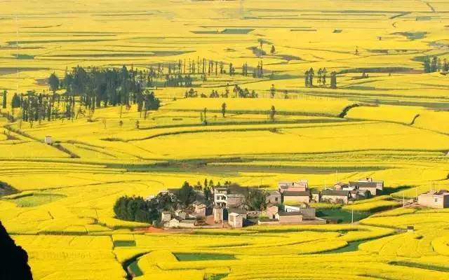 罗平县阿岗镇的日常趣事,爱与陪伴的温馨时光