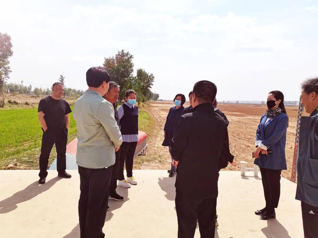 澄迈县政府网最新任命,解读与观点阐述