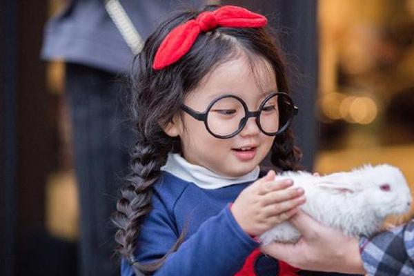 阿拉蕾和董力最新消息——如何获取并解读明星资讯的步骤指南