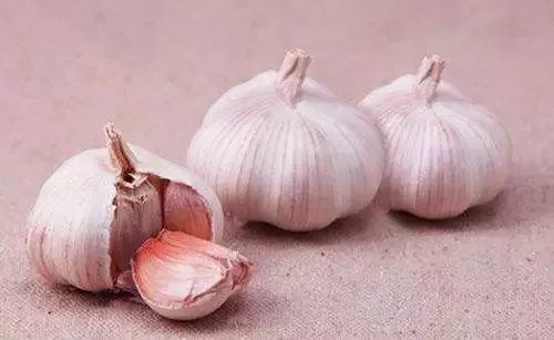 河南大蒜批发市场的最新行情价格