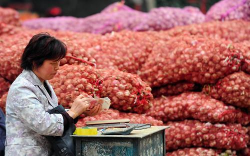 河南大蒜批发市场的最新行情价格