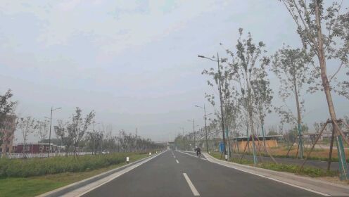 郑州市S312最新消息,一条通往成功的励志之路