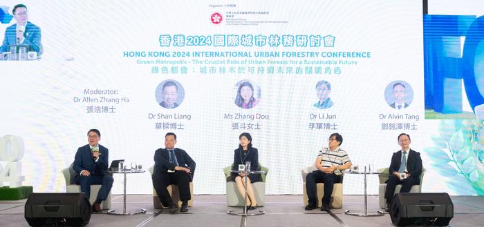 2024年香港正版资料免费大全,全面实施策略设计_旅行者特别版65.362