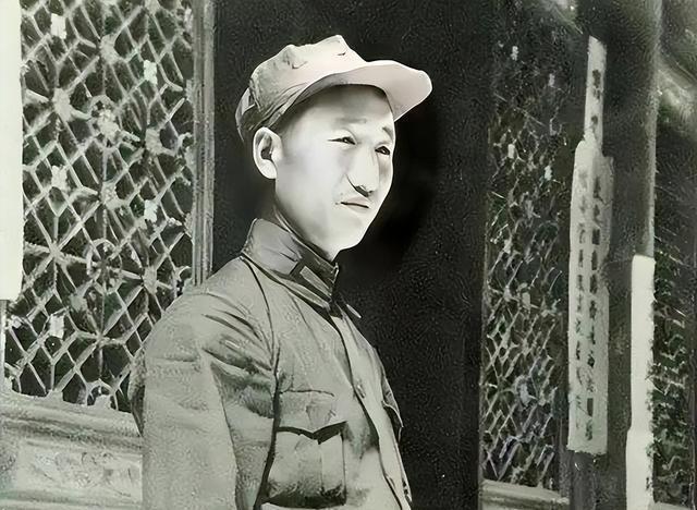 2024新奥免费资料,实地验证实施_薪火相传版58.583