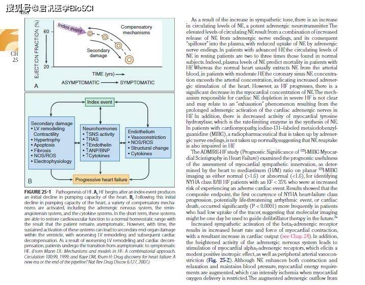 新澳免费资料精准大全,全身心数据指导枕_外观版39.367