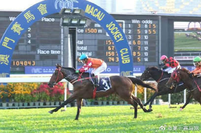 马会传真资料2024澳门,实际调研解析_数线程版82.353