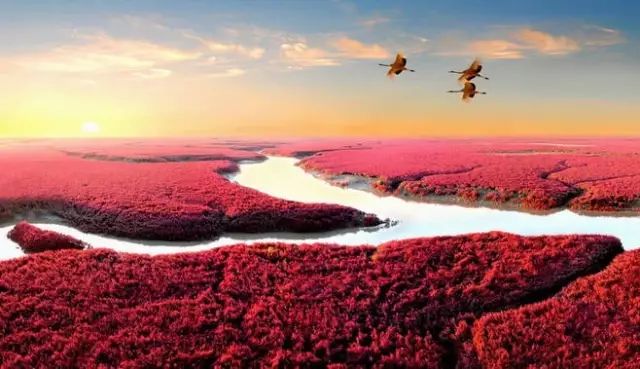 Lix9最新,一场自然美景的奇妙旅行,寻找内心的平和与喜悦