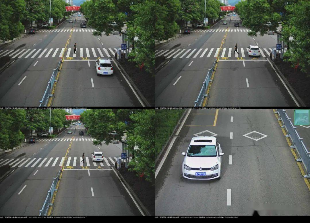 姐姐最新淘汰名单步骤指南