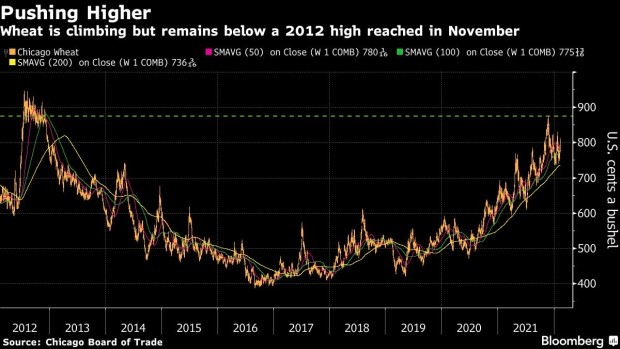 新澳出彩综合走势图带连线图,全面实施策略设计_目击版91.158