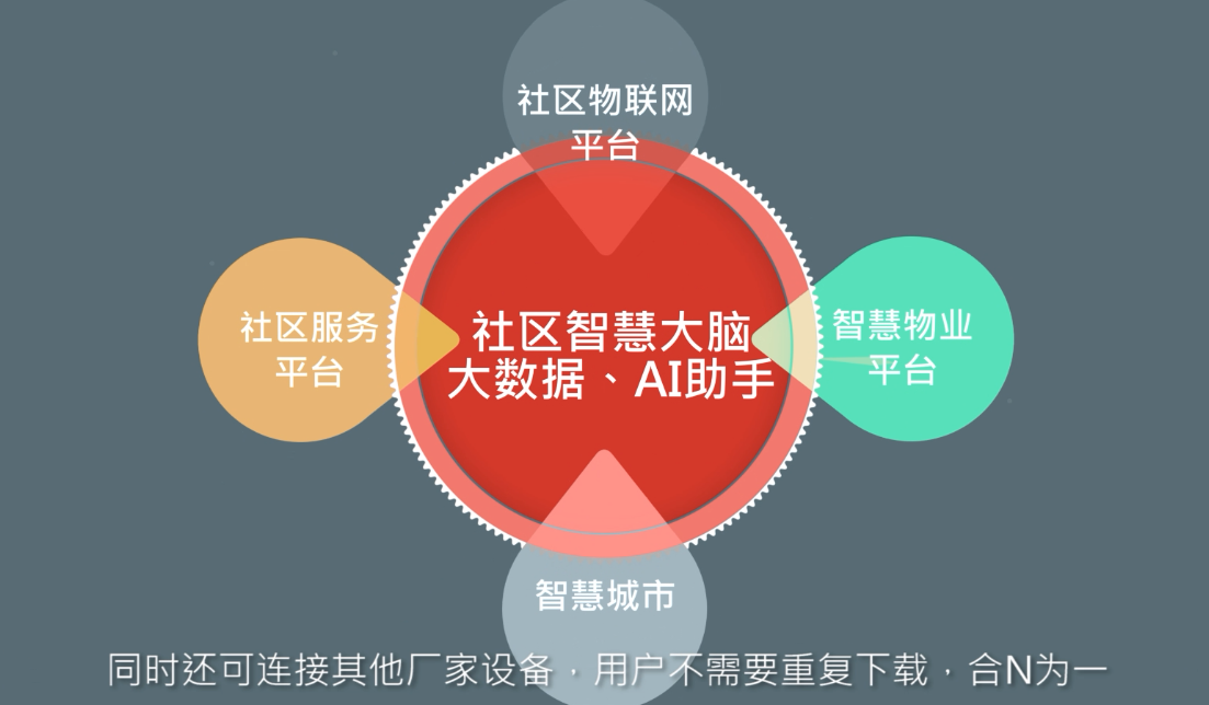 新奥天天免费资料公开,精准解答方案详解_网络版54.893