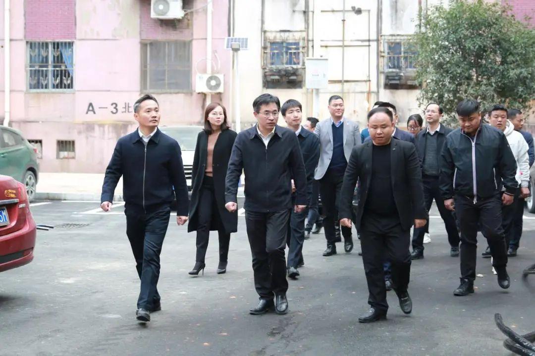 正版资料爱资料大全,实地观察解释定义_随行版67.195