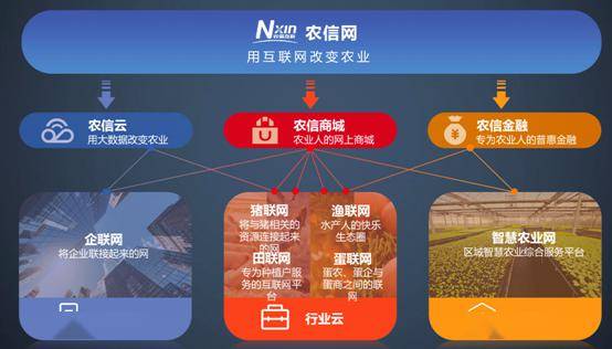 新澳精准资料免费提供,创新计划制定_动感版24.637