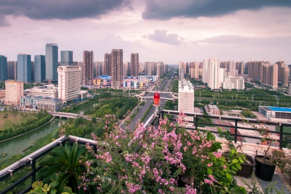 卫辉市最新日常趣事,城市中的温情脉络