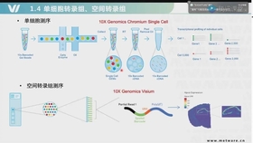 新奥最快最准的资料,科学解释分析_外观版27.511