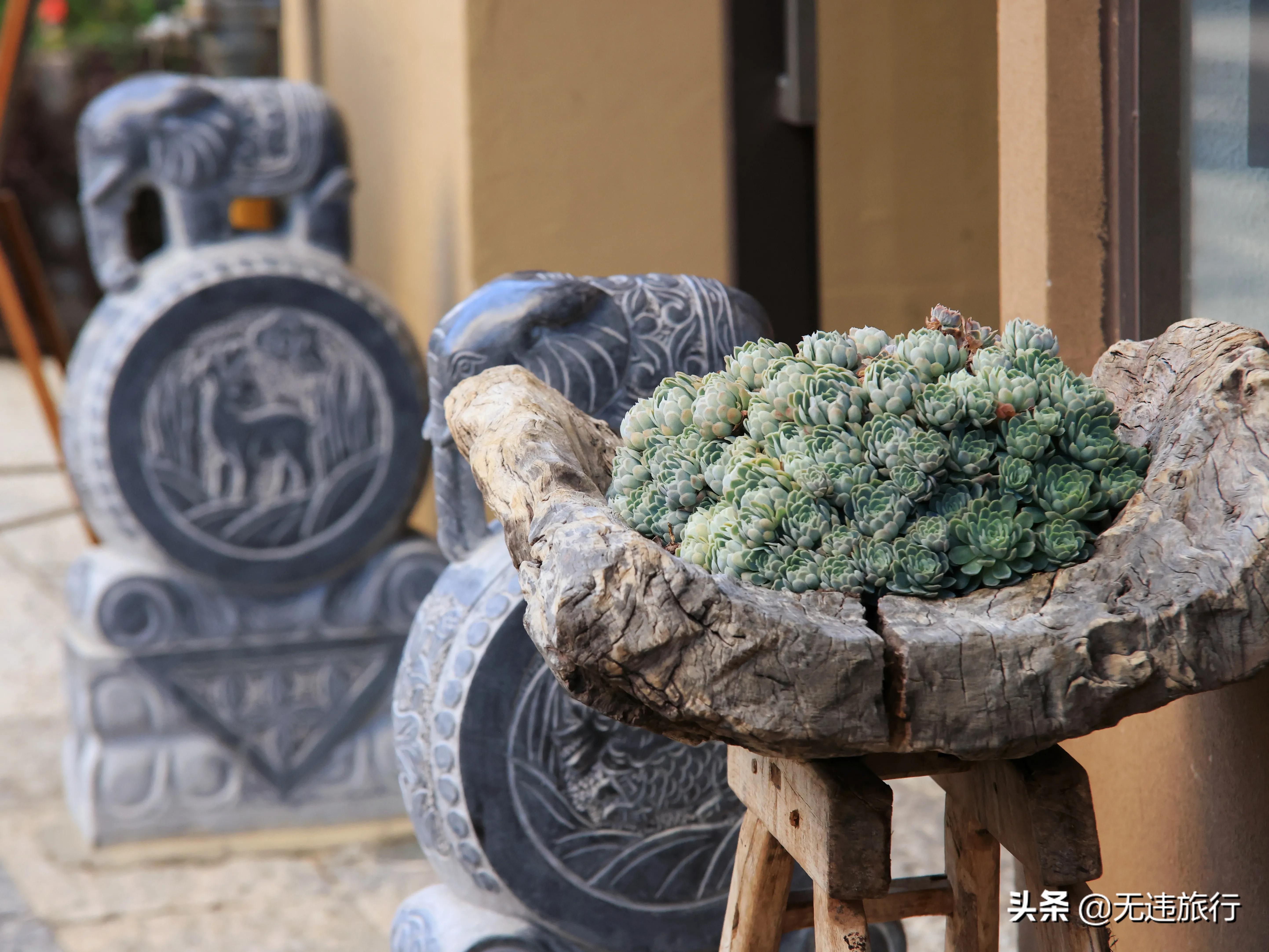 最新无马网探店,小巷深处的独特风味