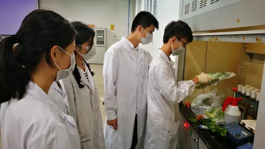 新澳免费资料大全最新版本,技术科学史农学_精英版65.902