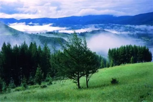 郑甫江最新,一场自然美景的奇妙旅行,寻找内心的平和与喜悦