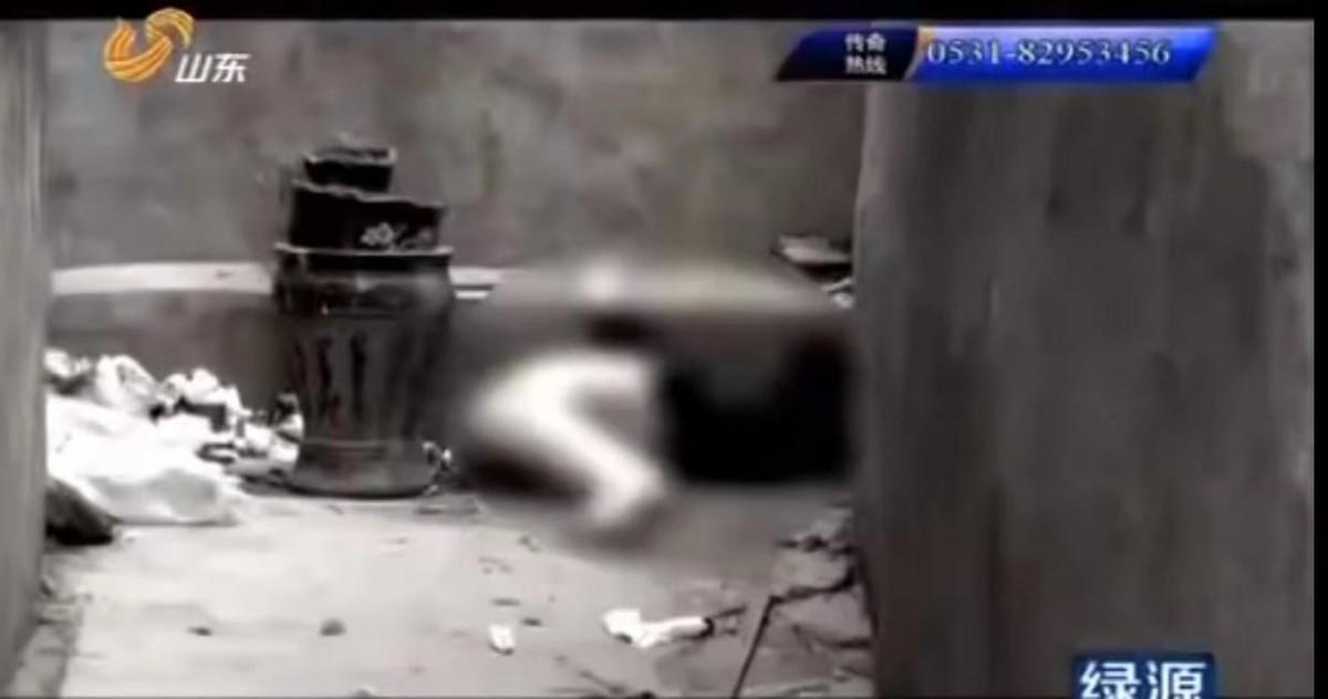 最新垃圾分类消息,小巷深处的绿色宝藏