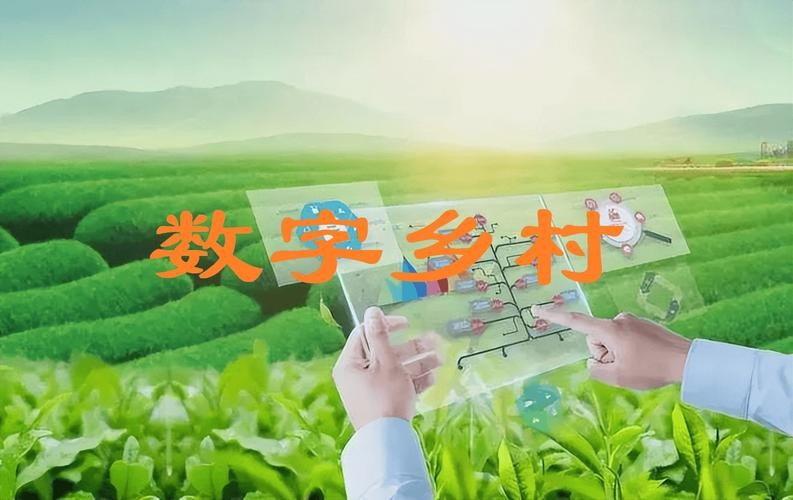 有村网最新,数字时代的乡村新篇章