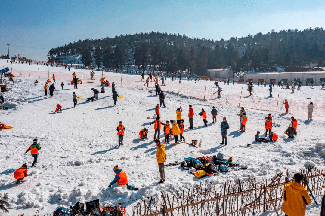 最新宁波交通,一场探索自然美景的旅行