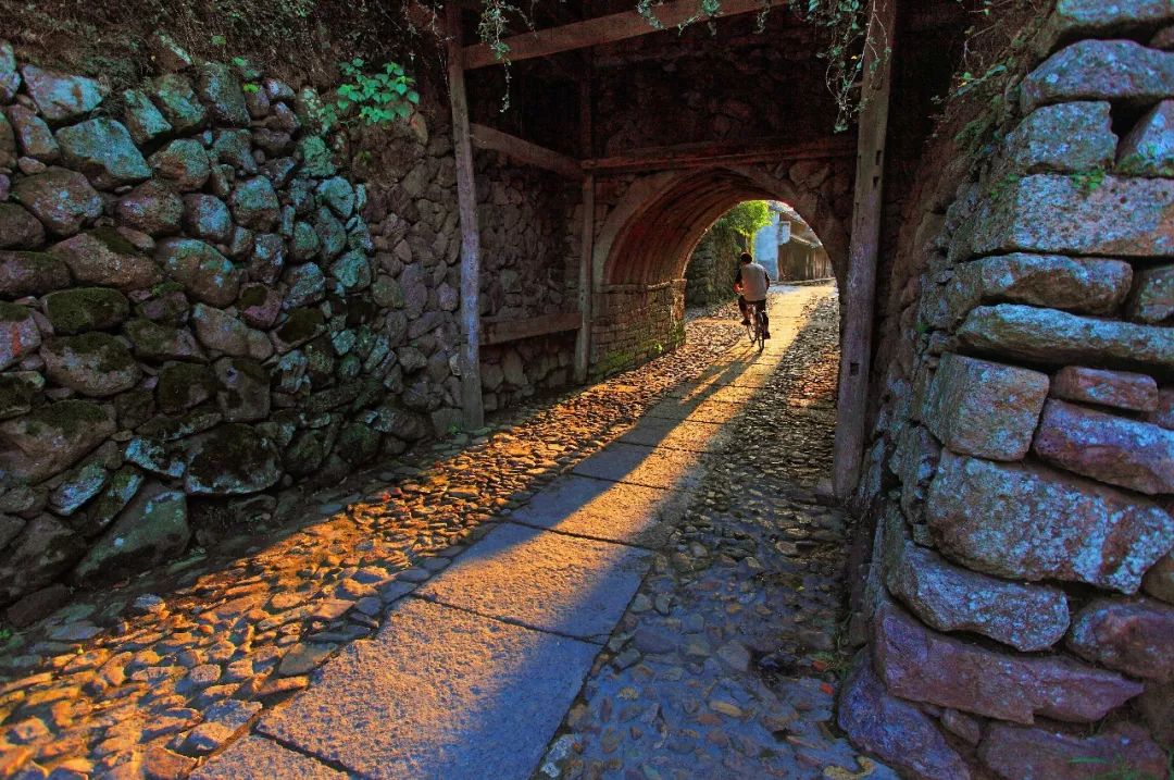 最新仙女下凡,小巷深处的神秘特色小店