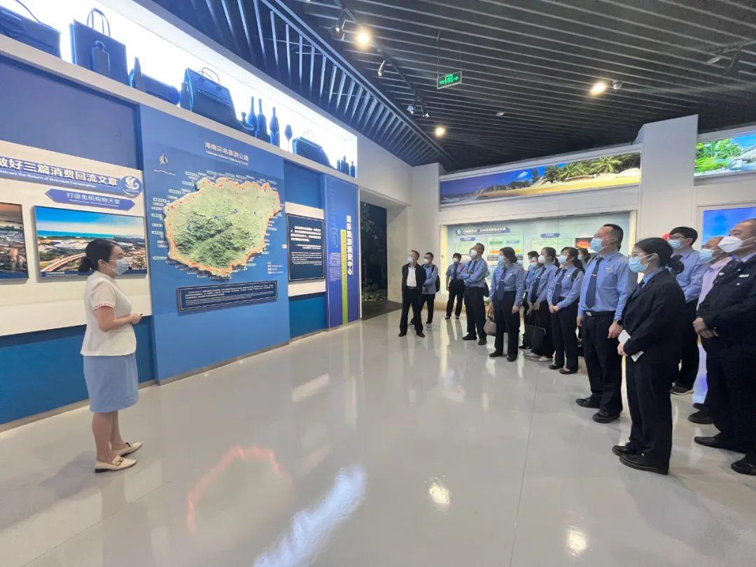 海南发展最新公告,时代的脉搏与未来的展望