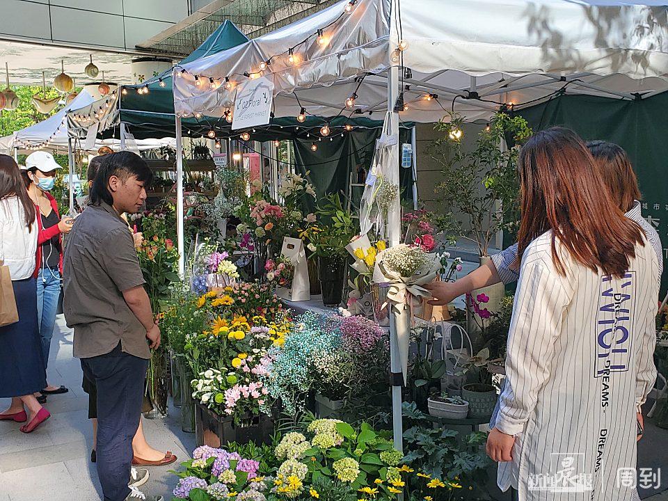 最新包扎法,一场自然美景的治愈之旅