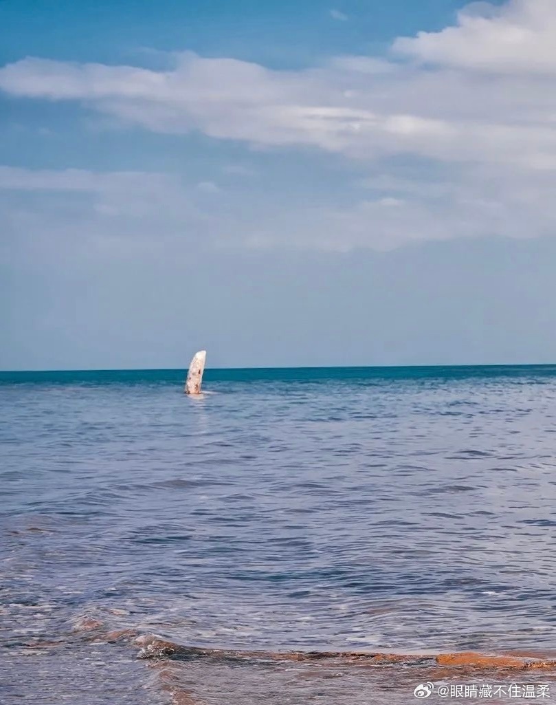 最新莫海免费,启程寻找内心的宁静与自然的奇迹