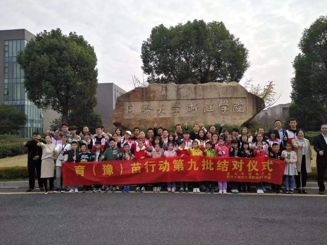 浙江最新发布,引领发展的前沿动态