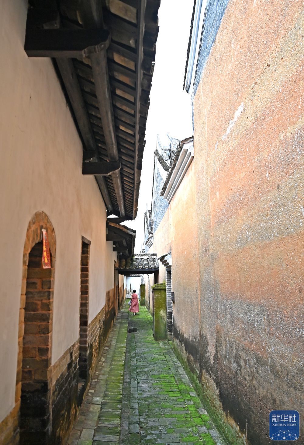 吉吉最新午夜,小巷深处的独特风味