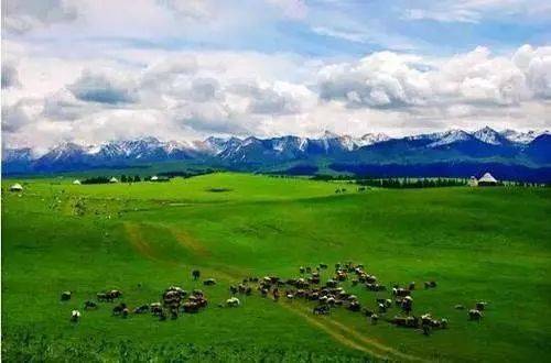 图们江畔,踏上一场自然美景的治愈之旅