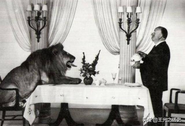 最新美国破产公司,小巷中的独特小店探秘