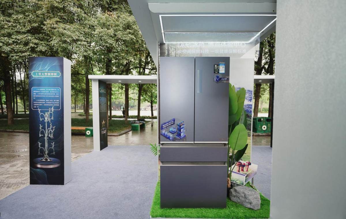 探秘小巷中的冰箱秘境,最新冰箱科技之旅