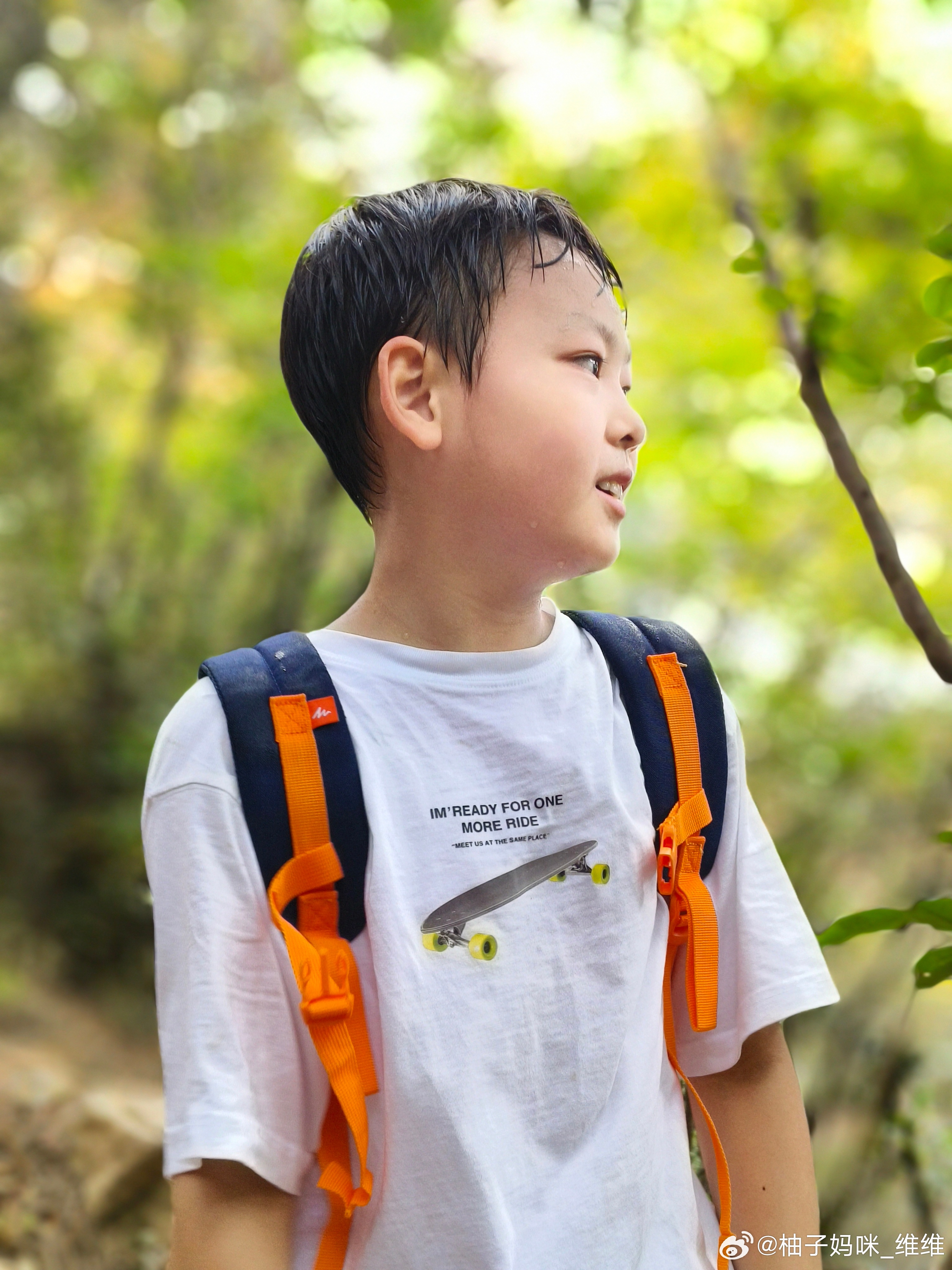 小亮仔最新探险,寻找内心平静的美丽旅程