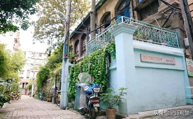 最新疫情情况图,小巷深处的独特风情与隐藏的特色小店