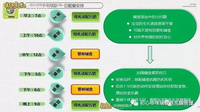 美大选最新结果解读指南,如何深入了解大选流程与结果