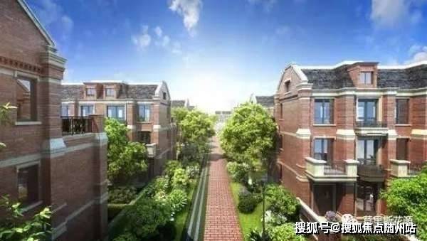 百百最新版,深入解析其优劣与我的观点