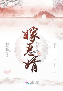 王婿最新章,时代背景下的辉煌篇章