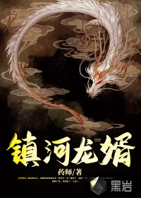 王婿最新章,时代背景下的辉煌篇章